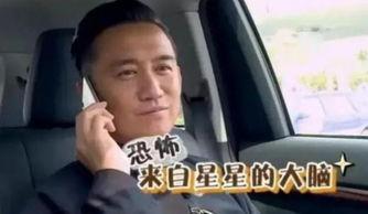 黄磊吃鸡爆料视频大全下载,揭秘美食背后的趣味瞬间  第1张