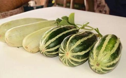 晨曦网红吃瓜链接,真相与争议并存  第2张